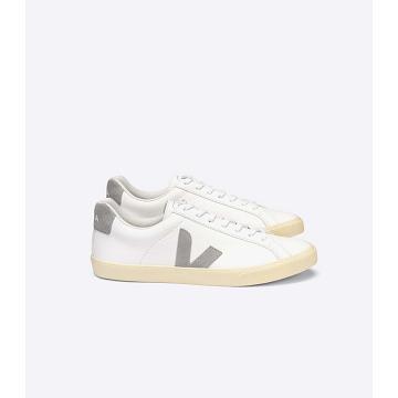 Veja ESPLAR CHROMEFREE Women's Sneakers White/Grey | CA 611MQZ